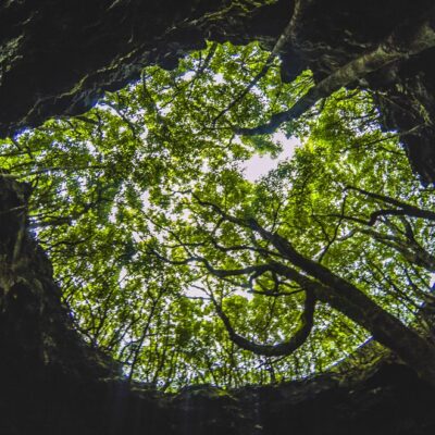 Pico Island Volcanoes and Lakes (Full Day)