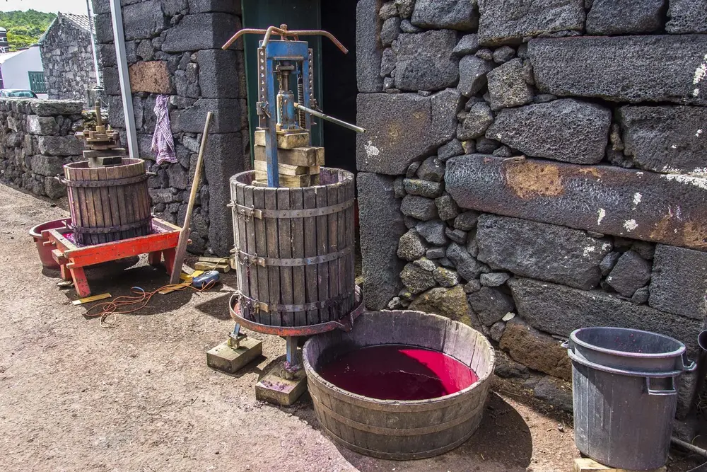 Van Tour Wine Culture from Lajes do Pico (Half Day)