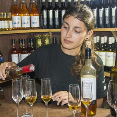 Van Tour Tapas and Wine (Half Day)