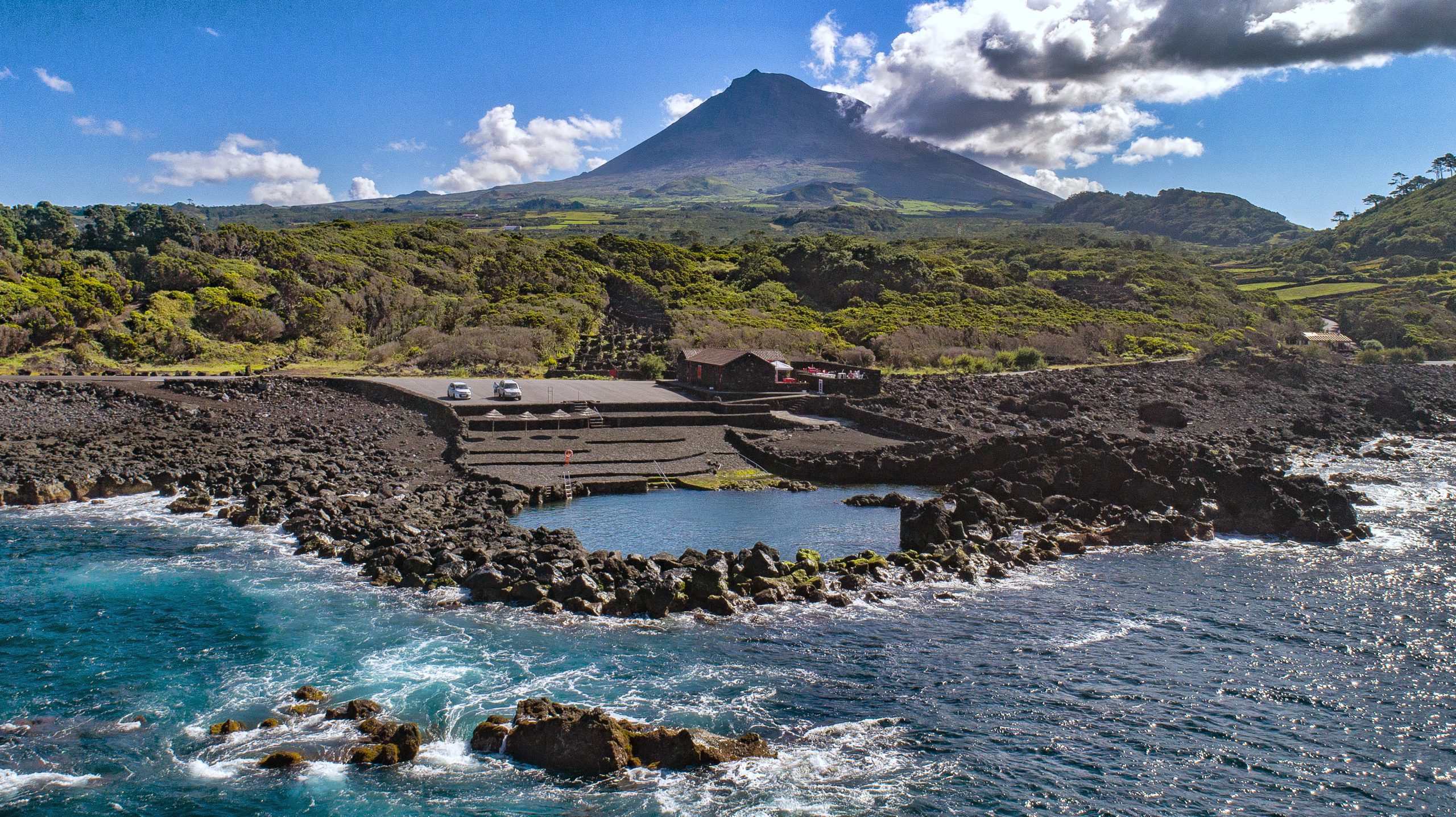 Van Tour Tapas and Wine (Half Day)
