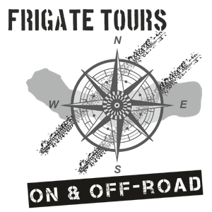 Frigate Tours Azores