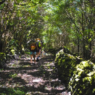 Hiking in Calheta de Nesquim (Full Day)