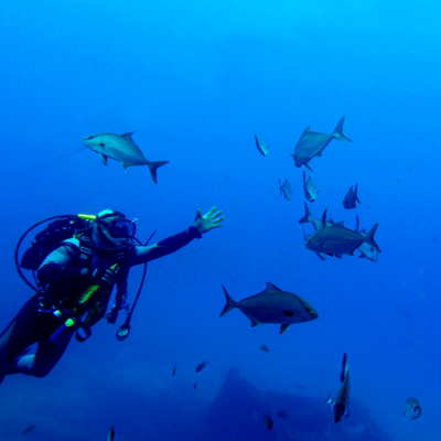 Mergulho ilha Terceira