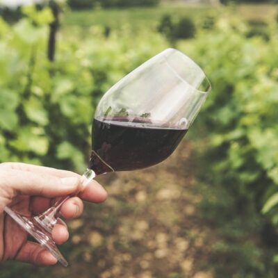 Van Tour Pico Wine Culture (Full Day)