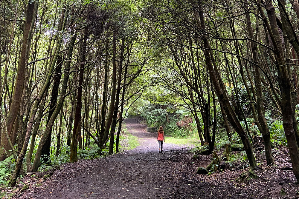 Trilho Janela do Inferno