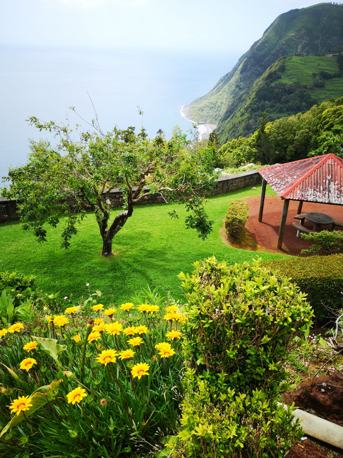 Passeio de Carrinha no Nordeste (Dia Inteiro)