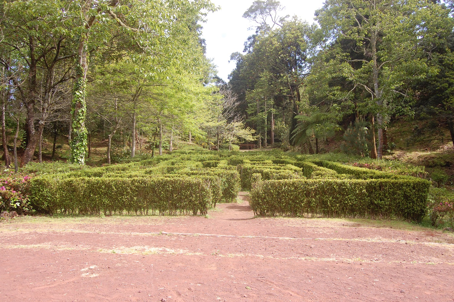 Pflanzenlabyrinth Pinhal da Paz - Destinazores
