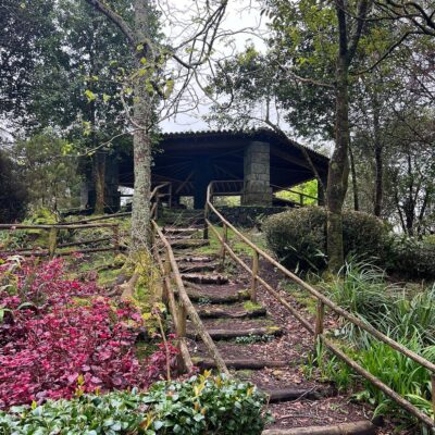 Pinhal da Paz - TripAdvisor