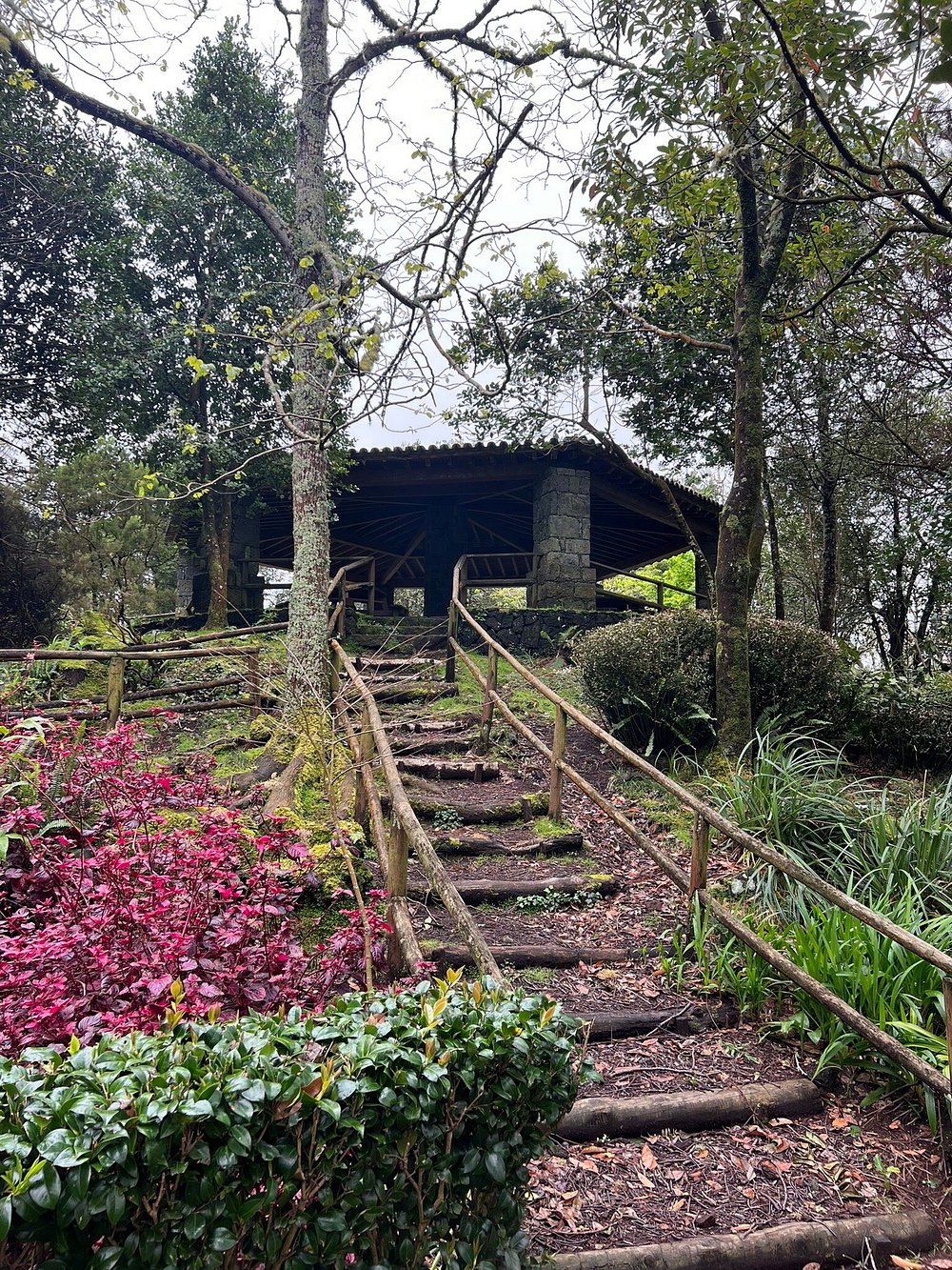 Pinhal da Paz - TripAdvisor